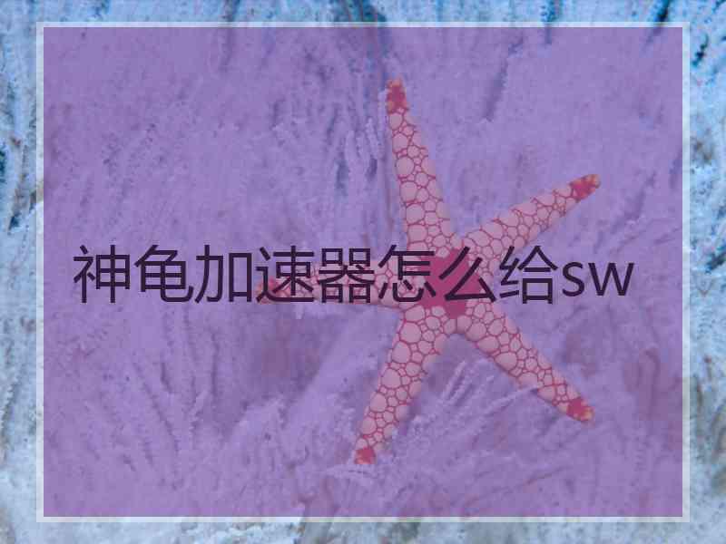 神龟加速器怎么给sw