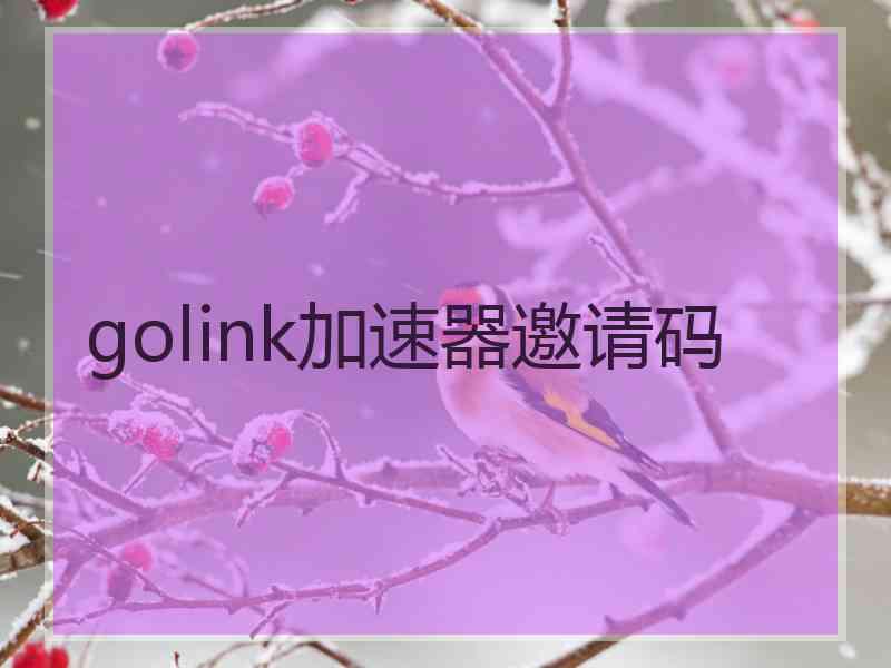 golink加速器邀请码