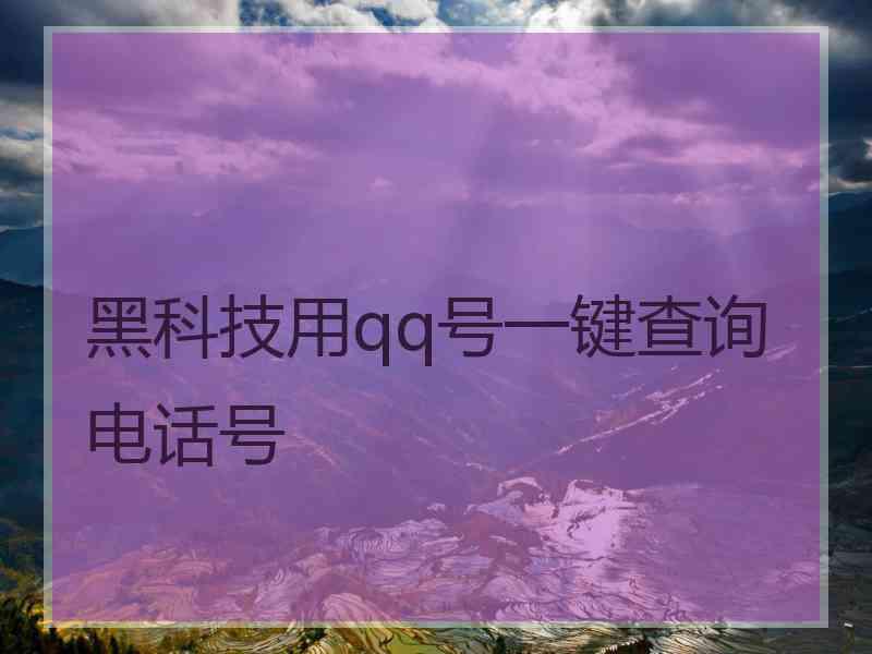 黑科技用qq号一键查询电话号