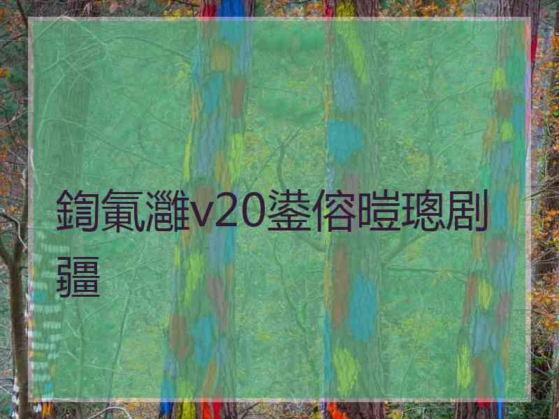 鍧氭灉v20鍙傛暟璁剧疆