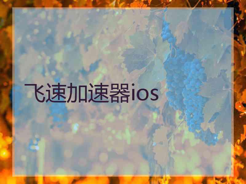 飞速加速器ios