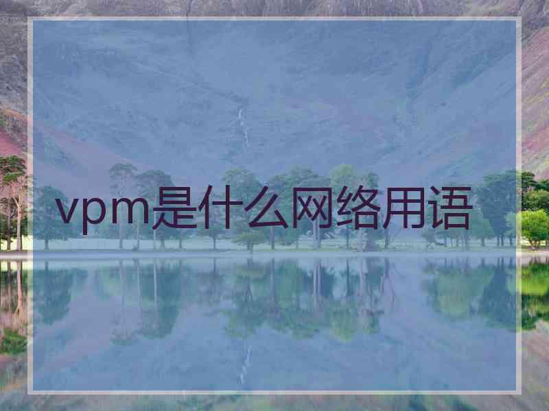 vpm是什么网络用语