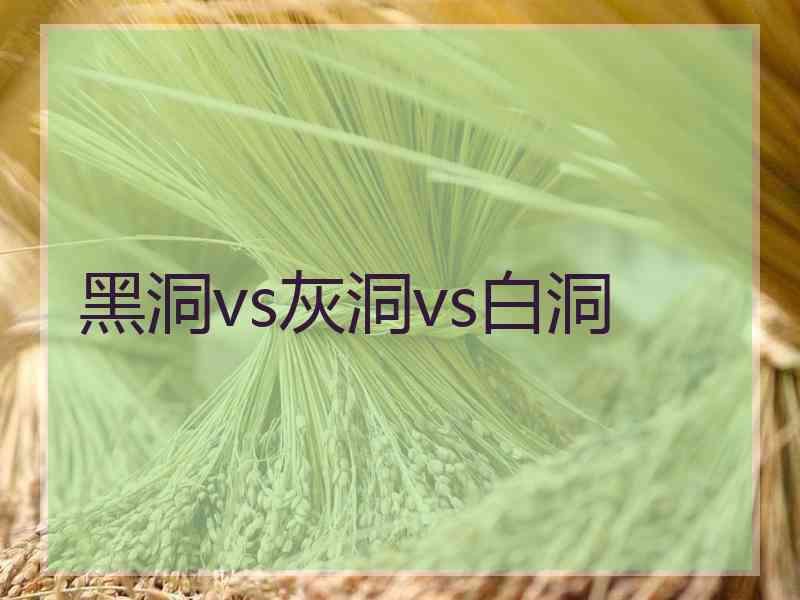 黑洞vs灰洞vs白洞