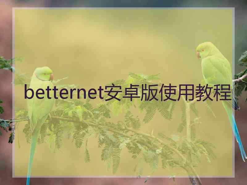 betternet安卓版使用教程