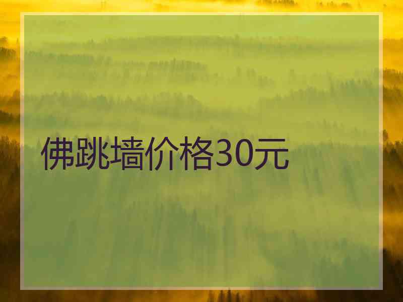 佛跳墙价格30元