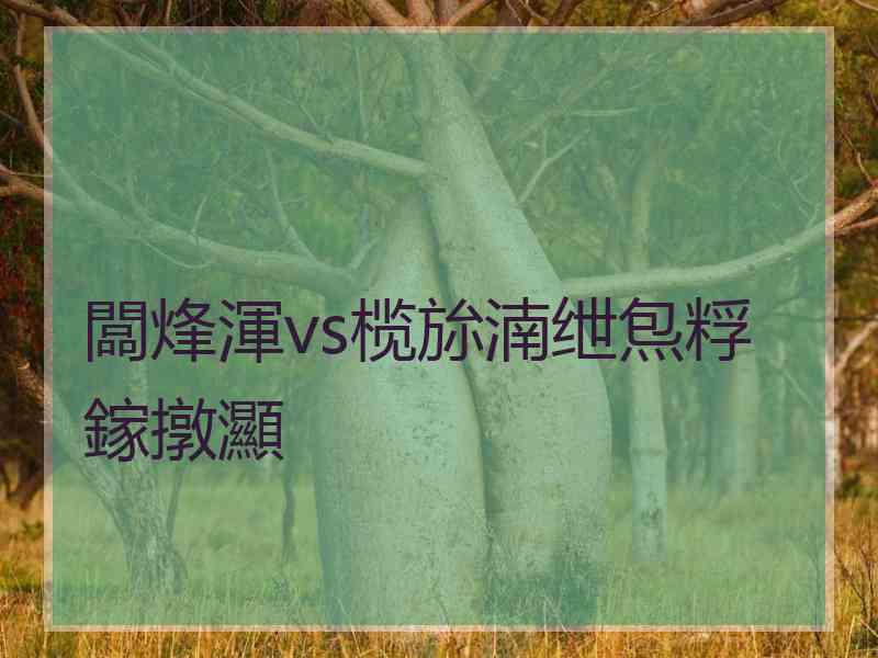 闆烽渾vs榄旀湳绁炰粰鎵撴灦