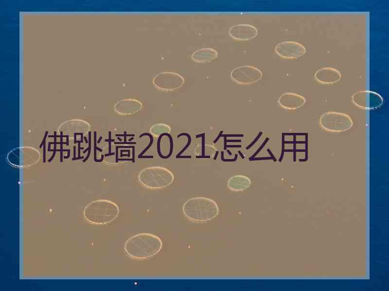 佛跳墙2021怎么用