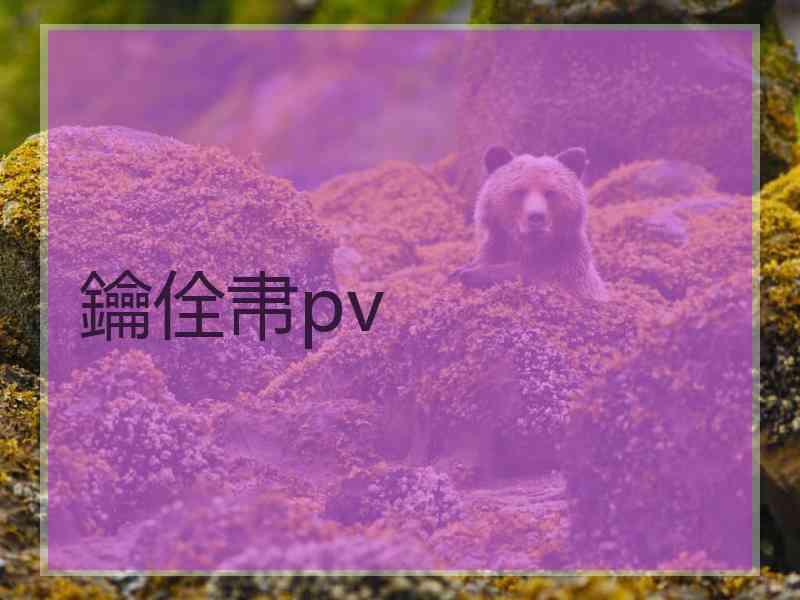 鑰佺帇pv