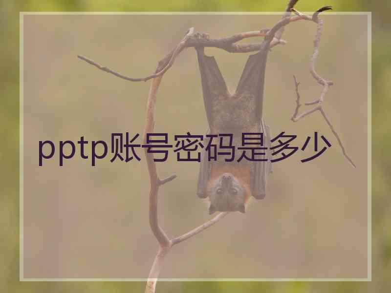 pptp账号密码是多少