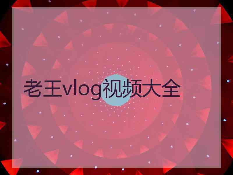 老王vlog视频大全