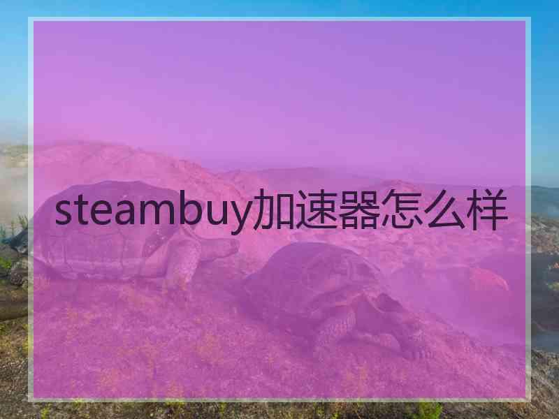 steambuy加速器怎么样