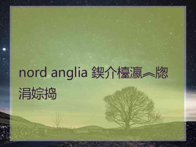 nord anglia 鍥介檯瀛︽牎涓婃捣