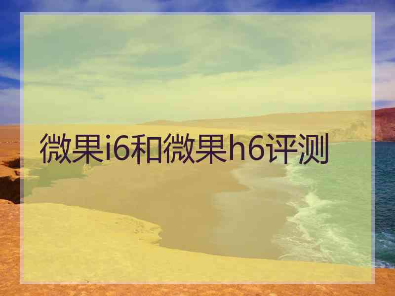 微果i6和微果h6评测