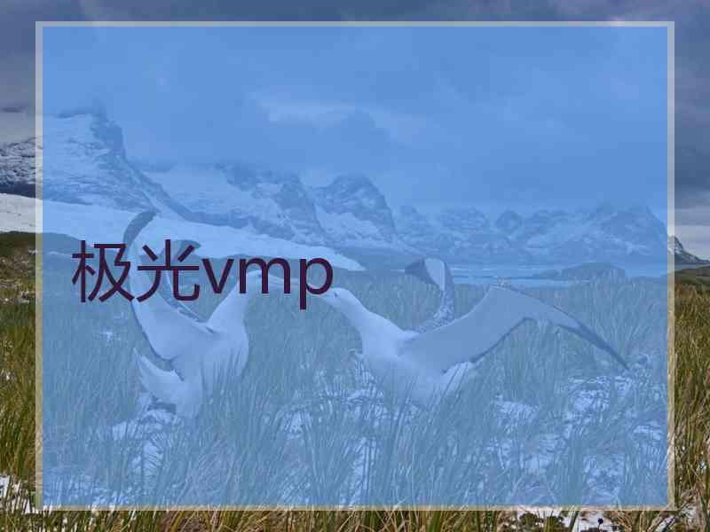 极光vmp