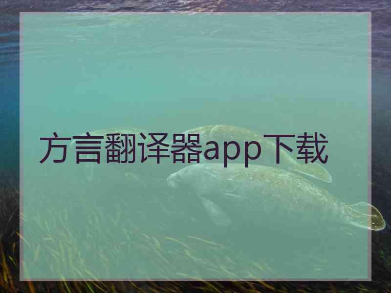 方言翻译器app下载