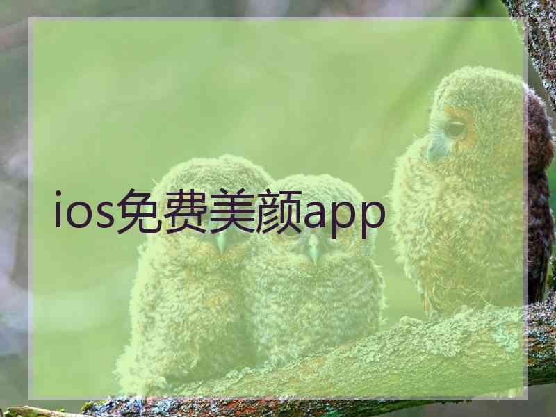 ios免费美颜app