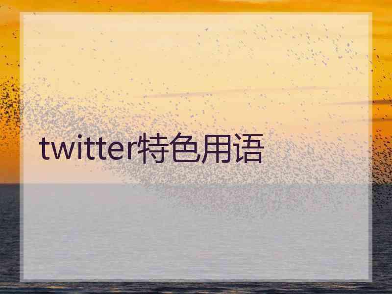 twitter特色用语