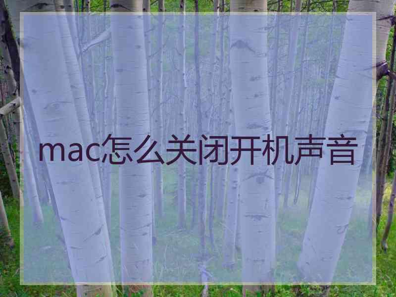 mac怎么关闭开机声音