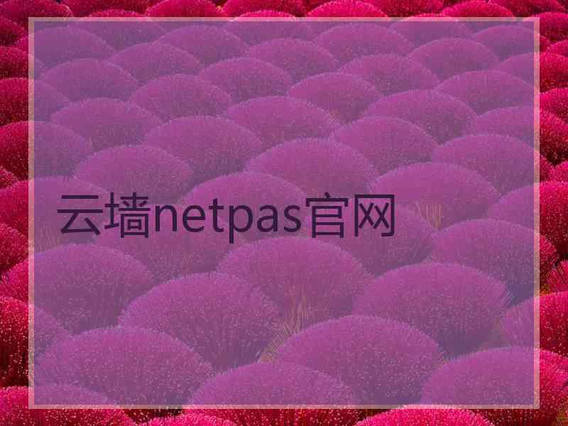 云墙netpas官网