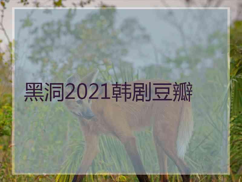 黑洞2021韩剧豆瓣