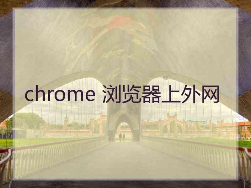 chrome 浏览器上外网