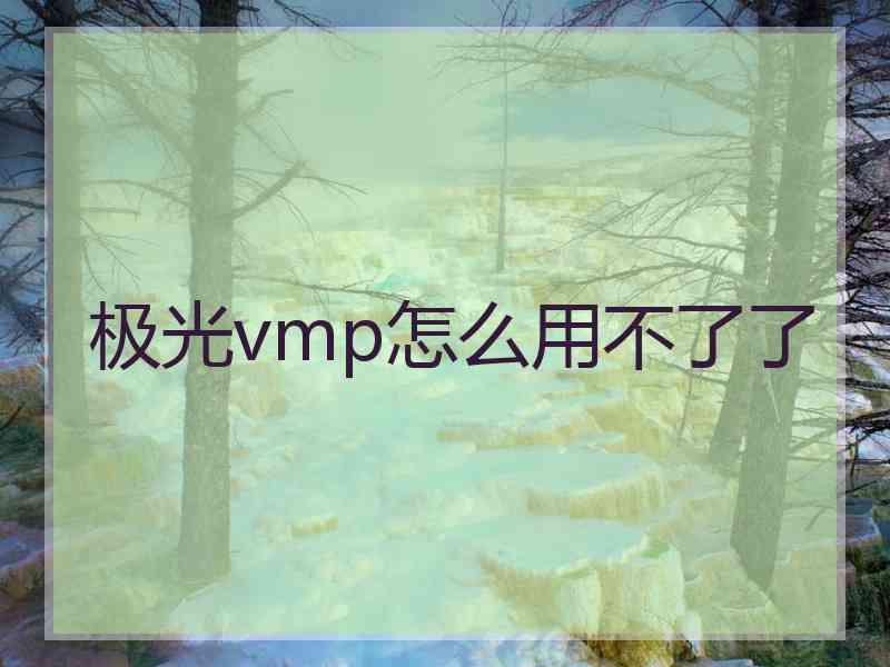 极光vmp怎么用不了了