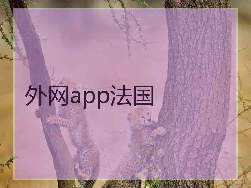 外网app法国