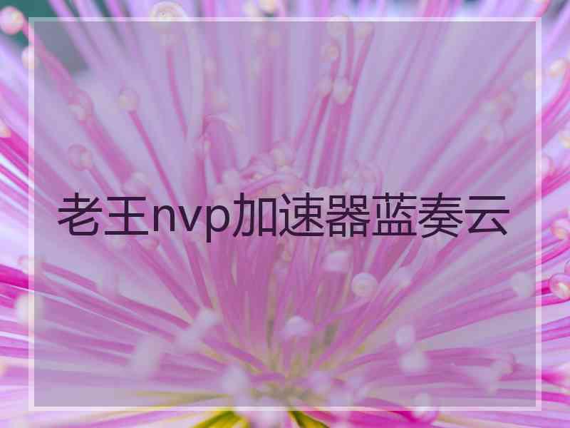 老王nvp加速器蓝奏云