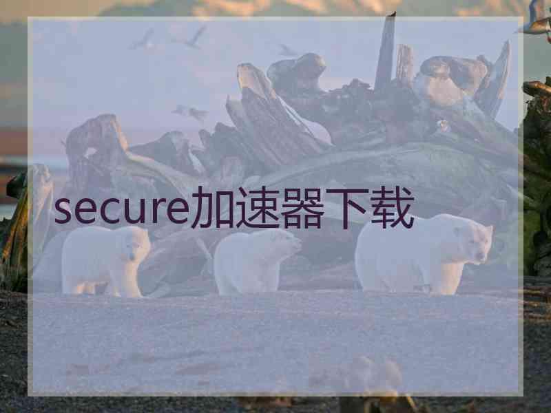 secure加速器下载