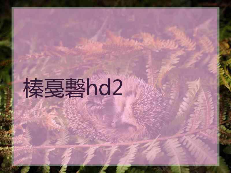 榛戞礊hd2