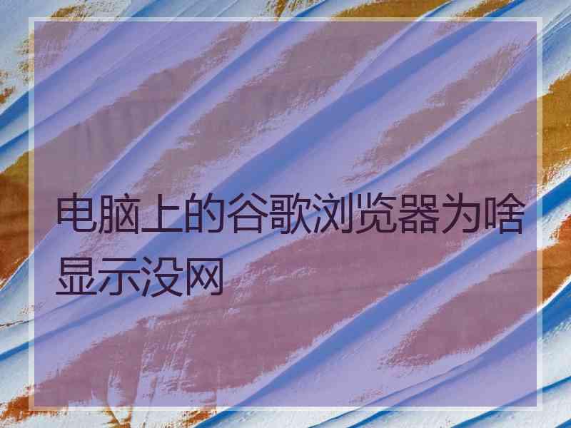 电脑上的谷歌浏览器为啥显示没网