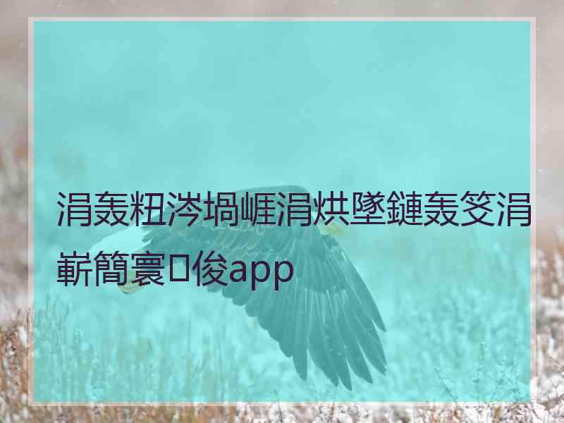 涓轰粈涔堝崕涓烘墜鏈轰笅涓嶄簡寰俊app