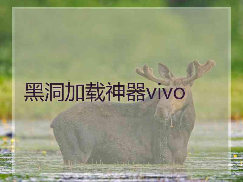 黑洞加载神器vivo