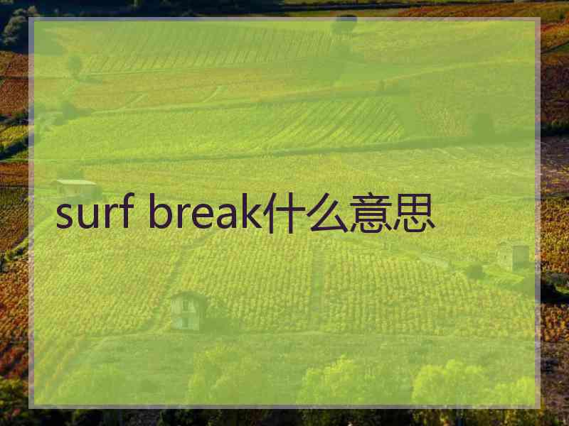 surf break什么意思