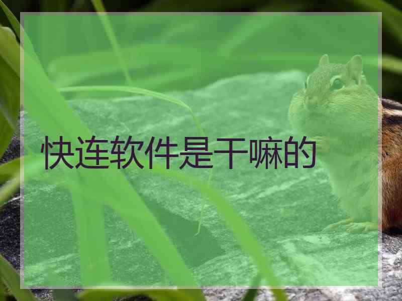 快连软件是干嘛的