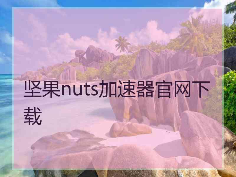 坚果nuts加速器官网下载