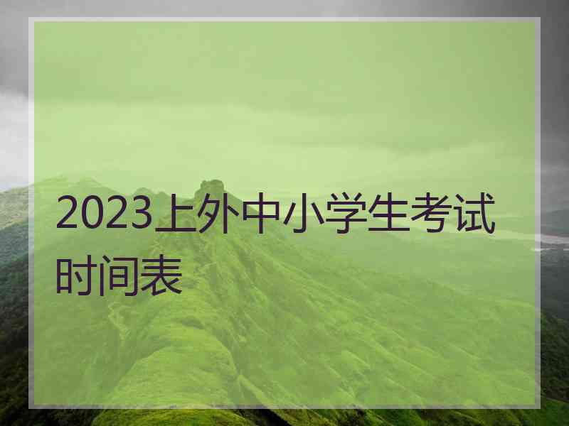 2023上外中小学生考试时间表