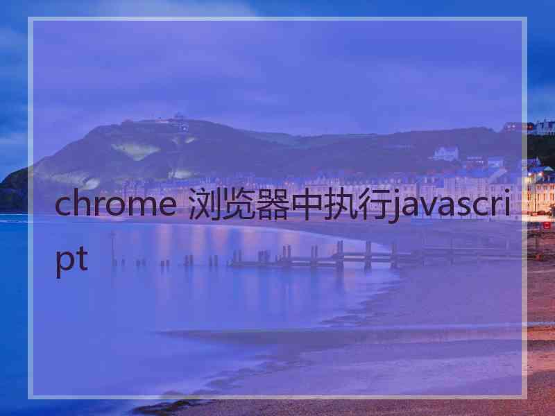 chrome 浏览器中执行javascript