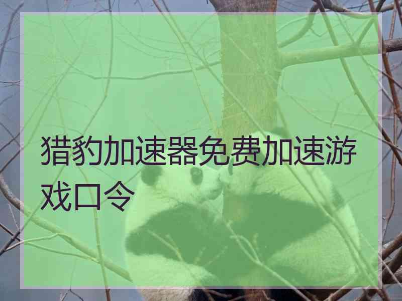 猎豹加速器免费加速游戏口令