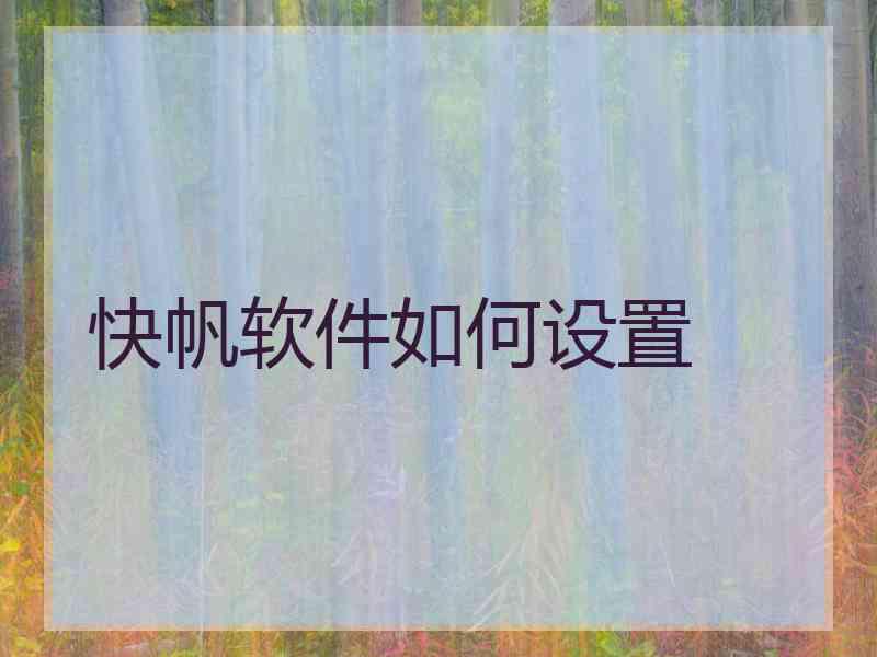 快帆软件如何设置