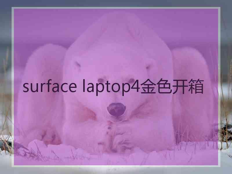 surface laptop4金色开箱