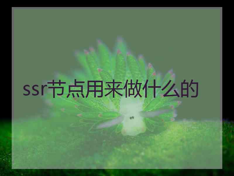 ssr节点用来做什么的