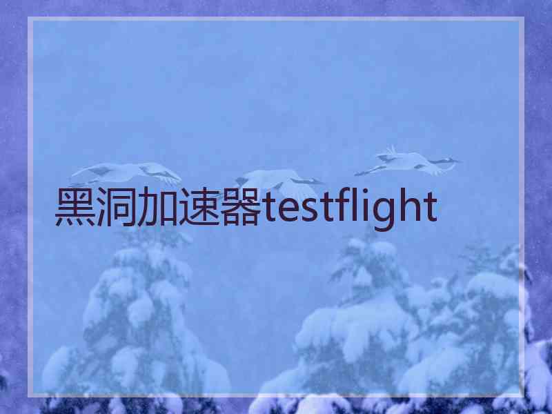 黑洞加速器testflight