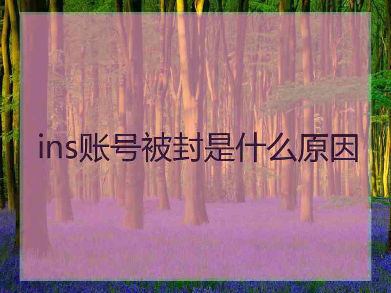 ins账号被封是什么原因