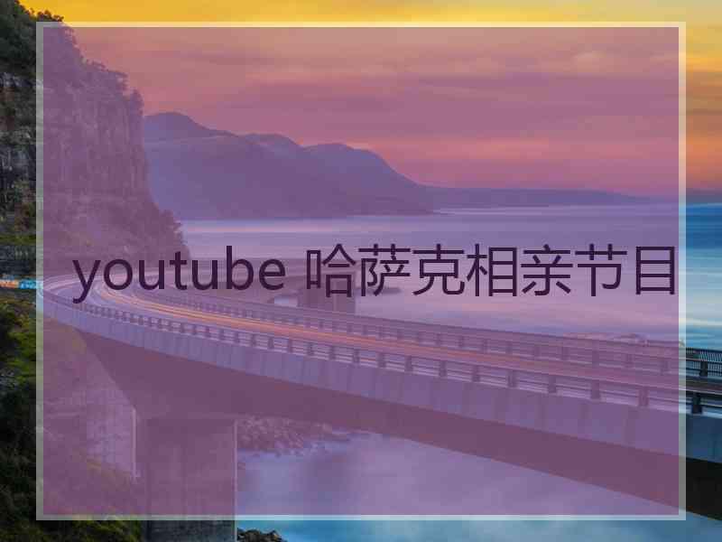 youtube 哈萨克相亲节目