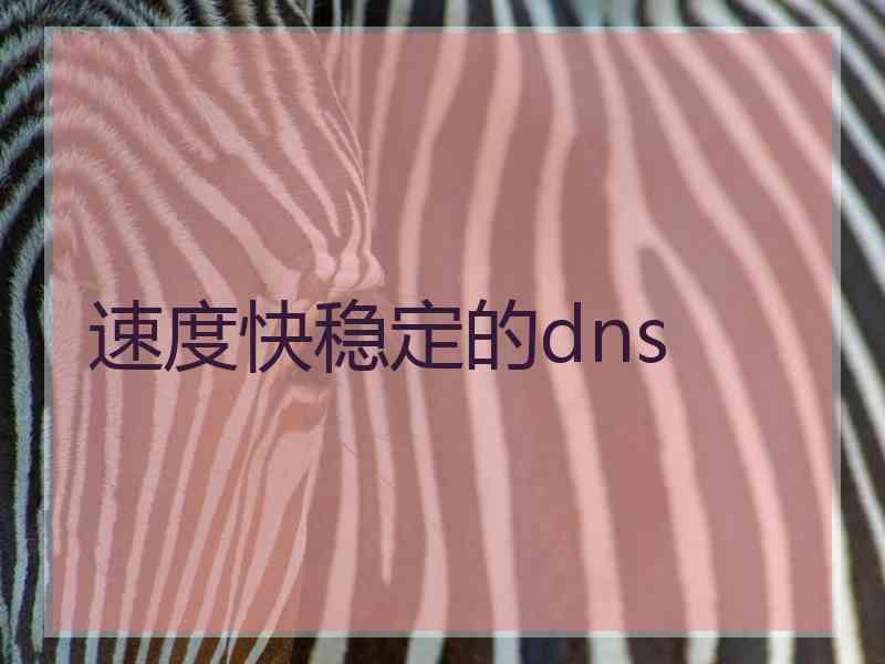 速度快稳定的dns