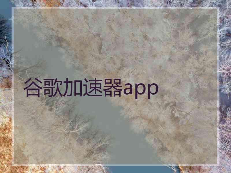 谷歌加速器app