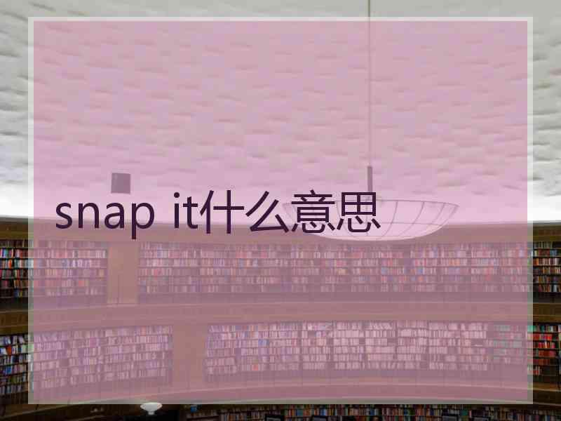 snap it什么意思