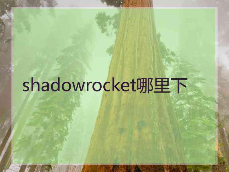 shadowrocket哪里下