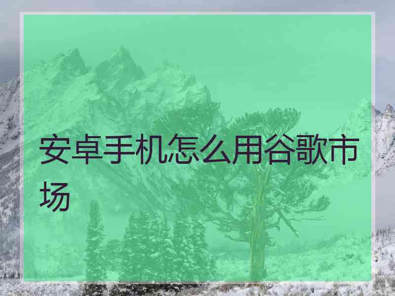 安卓手机怎么用谷歌市场